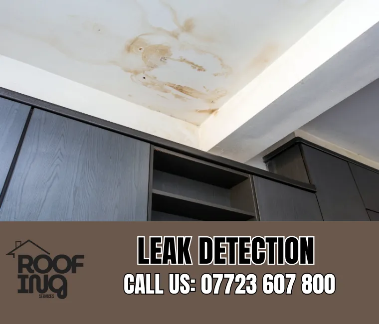 Roof Leak Detection in Ilfracombe