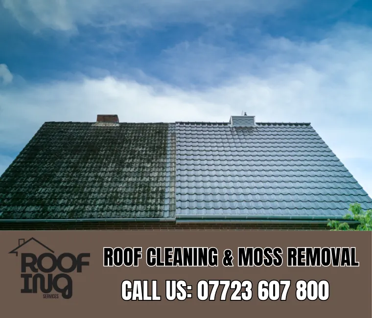 Roof Cleaning in Ilfracombe
